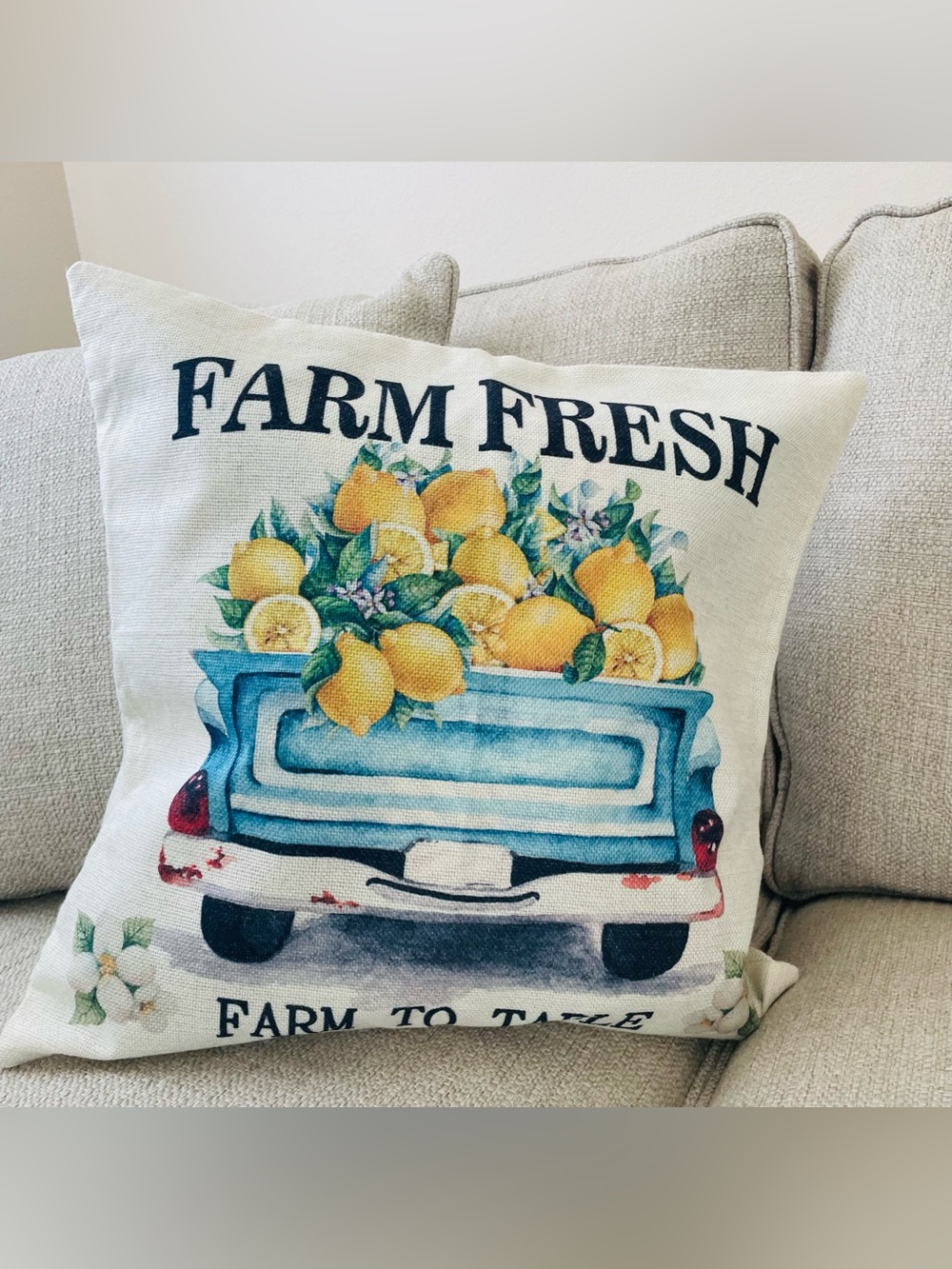 4 Lemon Decorative Pillow covers - Blue & Yellow